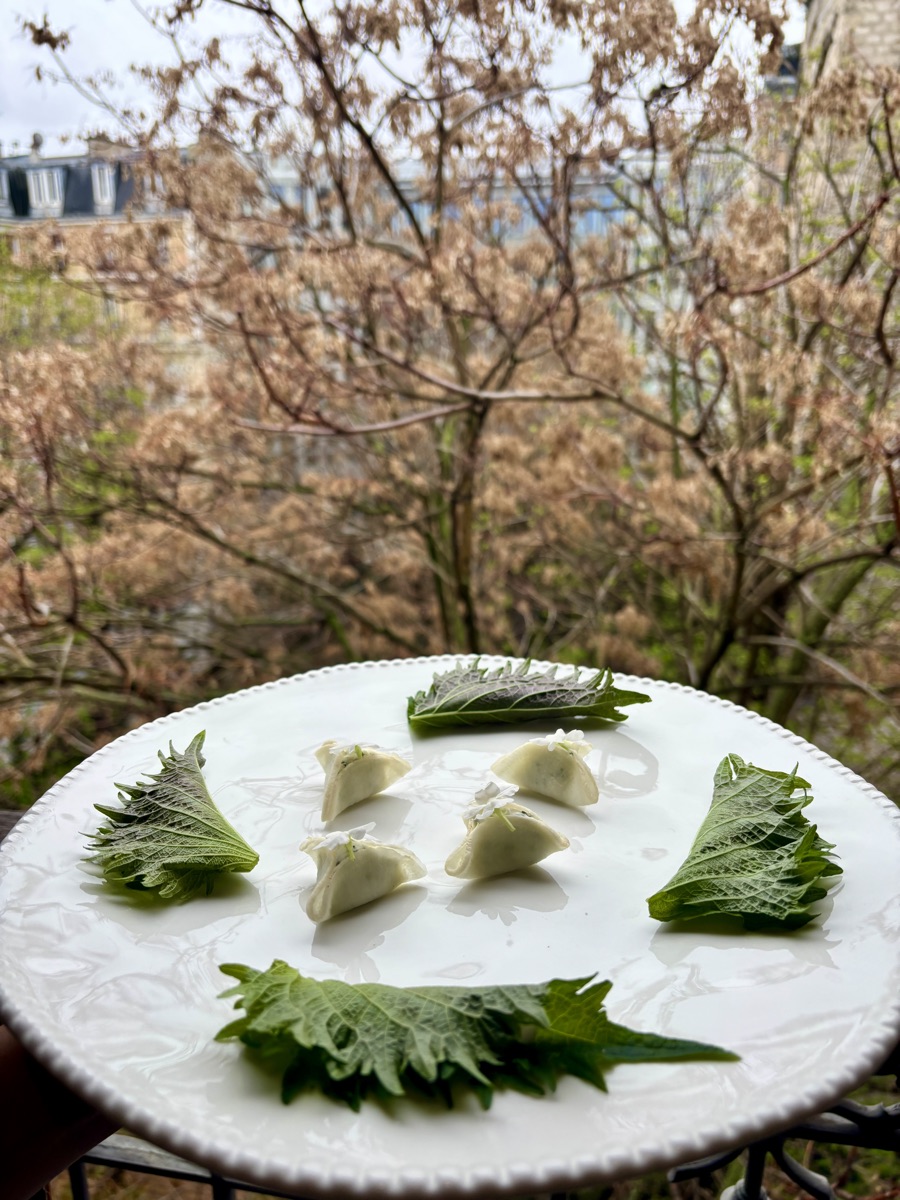 Bouchées en feuilles de shiso